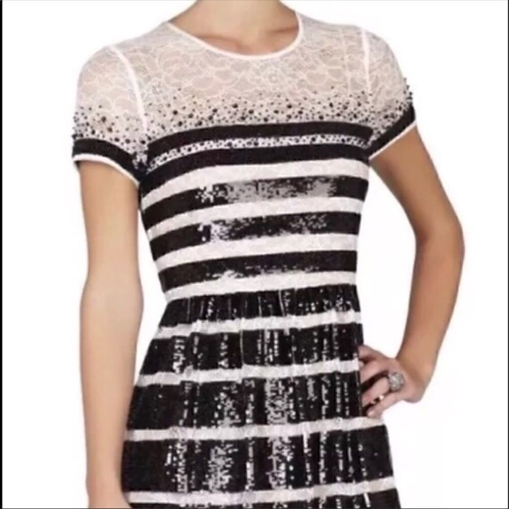 BCBGMAXAZRIA | Tasi-Sequin Stripe Lace Dress | 6